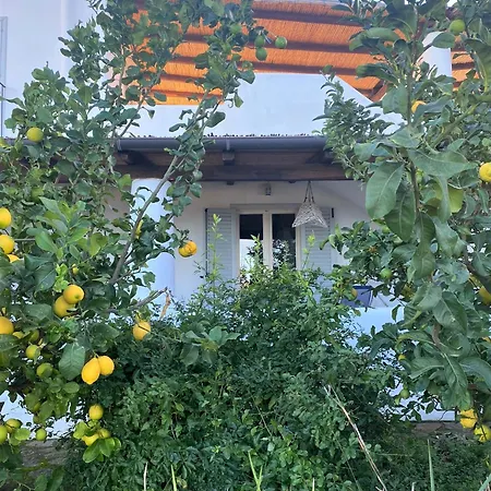 בית נופש Casa Surya - Sea View Terrace, Isola Salina מאלפה